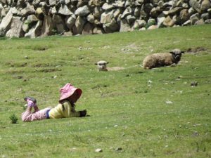 Isla del Sol Titicacasee by Birgit Strauch Shiatsu Massage & ThetaHealing