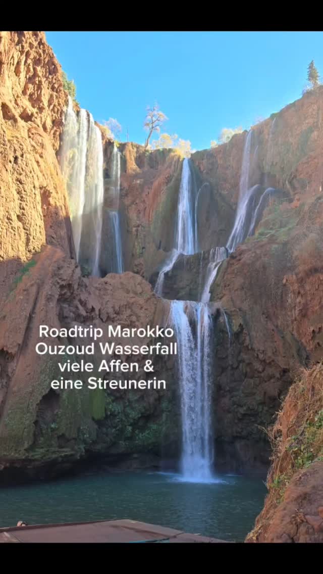 Die Inneren Erlebnisse überwiegend ja meist. Klar, im Außen habe ich in einer wunderschönen Jurte geschlafen und einen majestätischen Wasserfall besucht, aber im Inneren, da bin ich berührt worden.
Mein Lebensthema der Zugehörigkeit (bin Adoptivkind), wurde durch eine kleine Streunerin berührt und aufgewühlt, die mich den ganzen Tag begleitet hat, sich vielleicht auch erhofft hatte, bei mir bleiben zu können und am Abend aber wieder gehen musste.
Ansonsten ist die Gegend einen Besuch wert und die vielen Affen am Wasserfall sind toll.
Es ist gerade keine Saison und es waren entspannt
viele Besucher unterwegs. In der Saison wäre ich nicht so gerne hier gewesen.
Einen Besuch wert ist auch die Quelle.
Man muss etwa eine Stunde durch das Dorf und dann durch einen Olivenhain wandern.
#Ouzoud #Wasserfall #reisenistschön #innerereise #Persönlichkeitsentwicklung #energyhealing #Prozessarbeit #praxisinberlin #prozessbegleitung